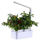 Crest's indoor gardening kit with 3 colour light
